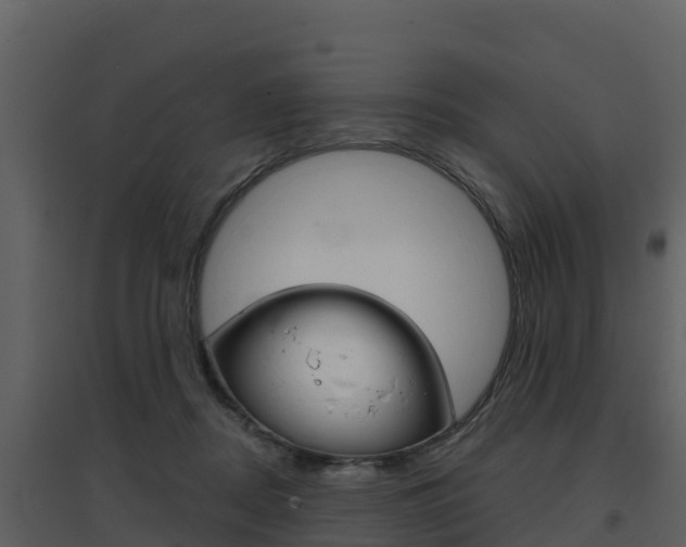 X0000097850362200803140902