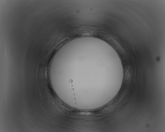 X0000097850363200803140902