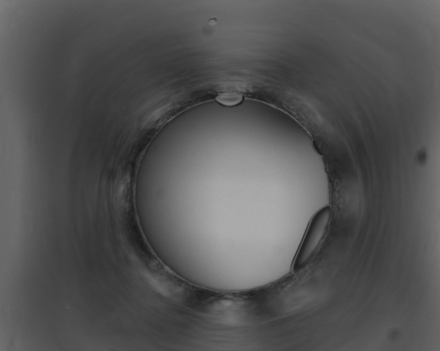 X0000097850364200803140902