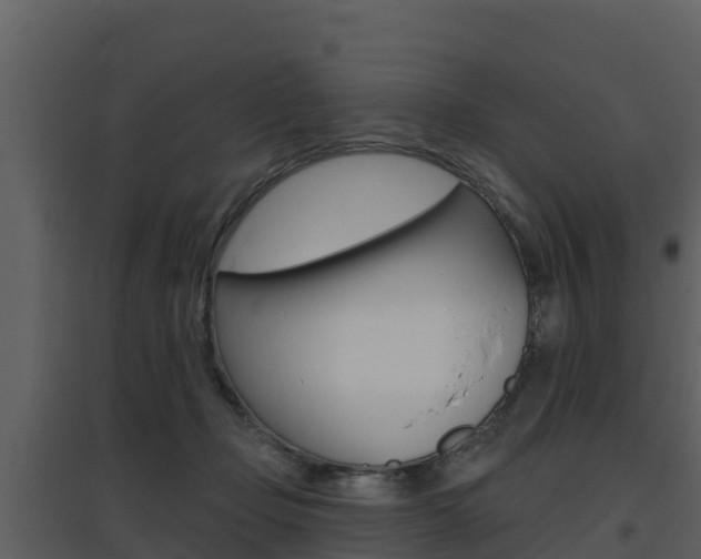 X0000097850365200803140902