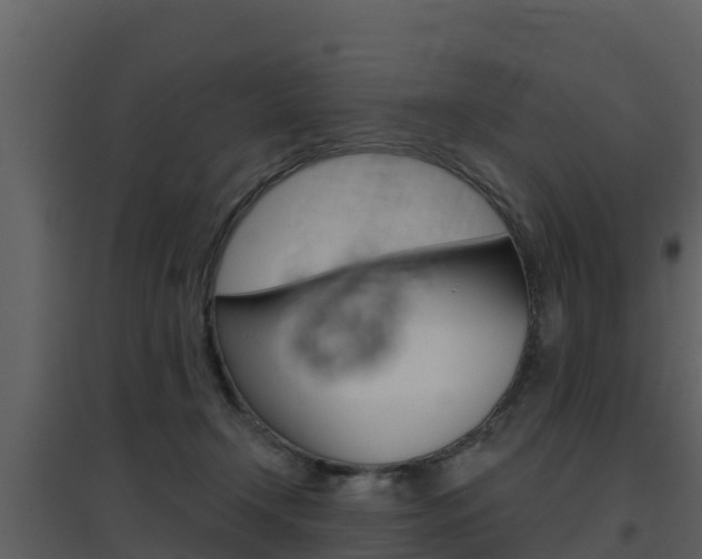 X0000097850366200803140902