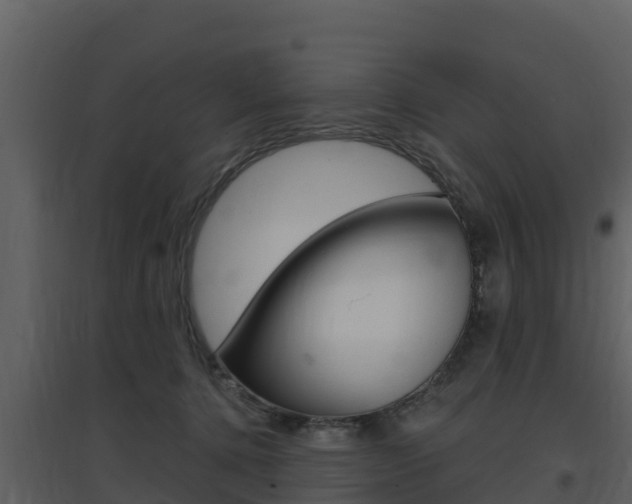 X0000097850368200803140902