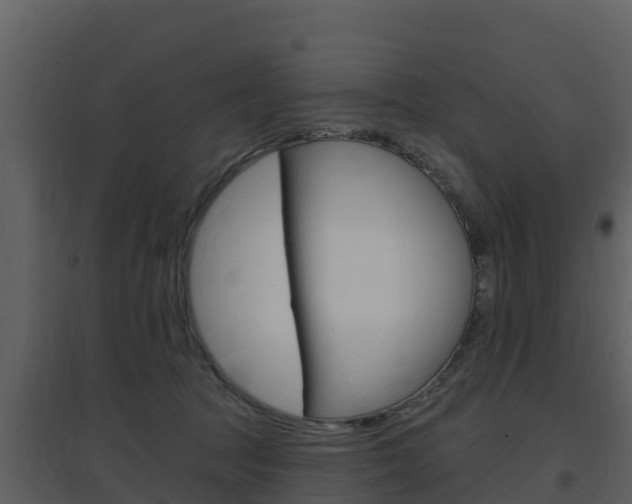 X0000097850369200803140902
