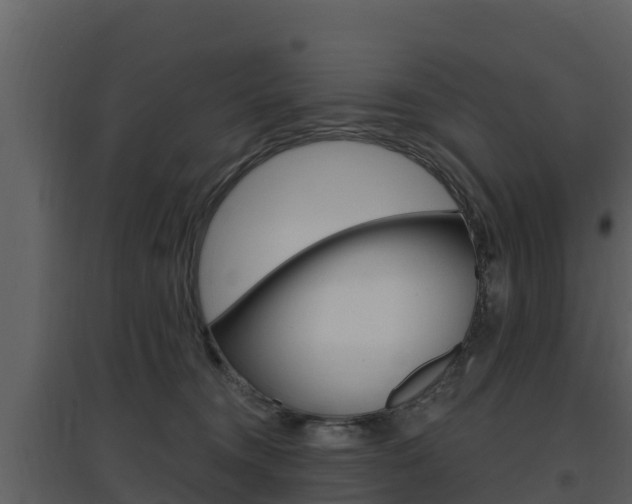 X0000097850372200803140902