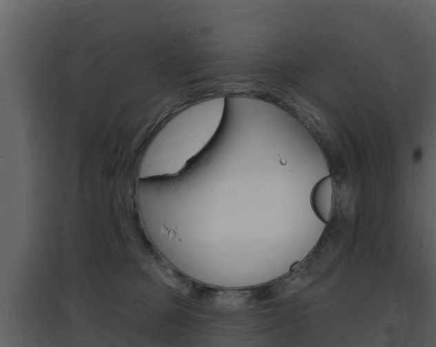X0000097850373200803140902