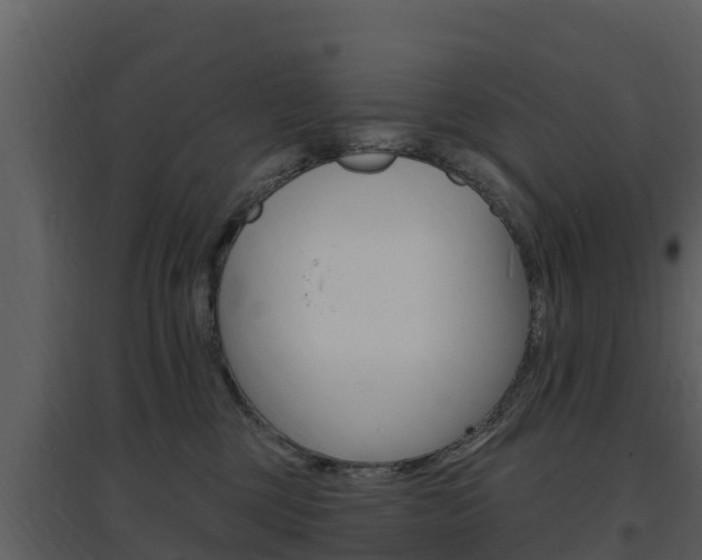 X0000097850377200803140902