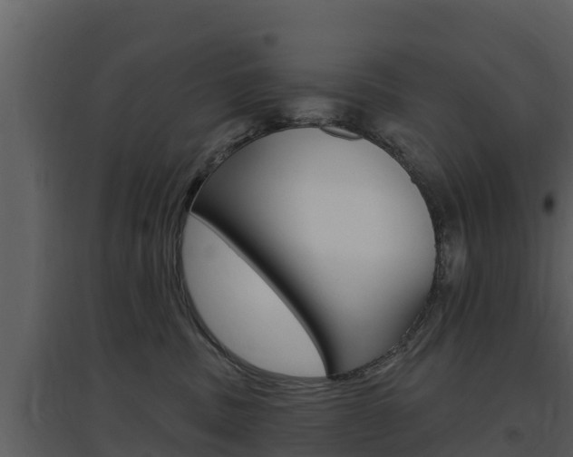 X0000097850379200803140902