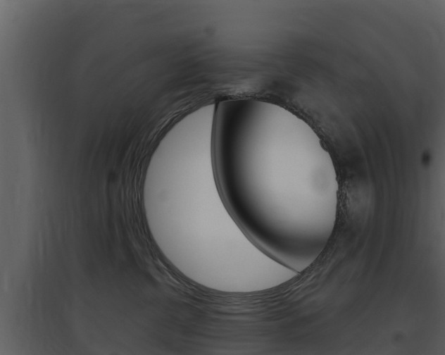 X0000097850380200803140902
