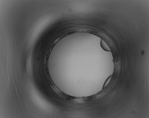 X0000097850381200803140902