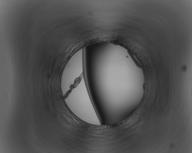 X0000097850384200803140903