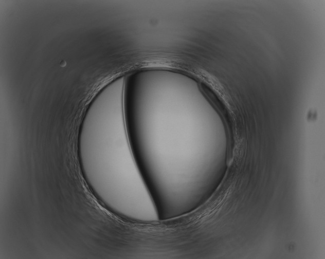 X0000097850385200803140902