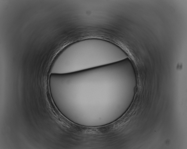 X0000097850386200803140902