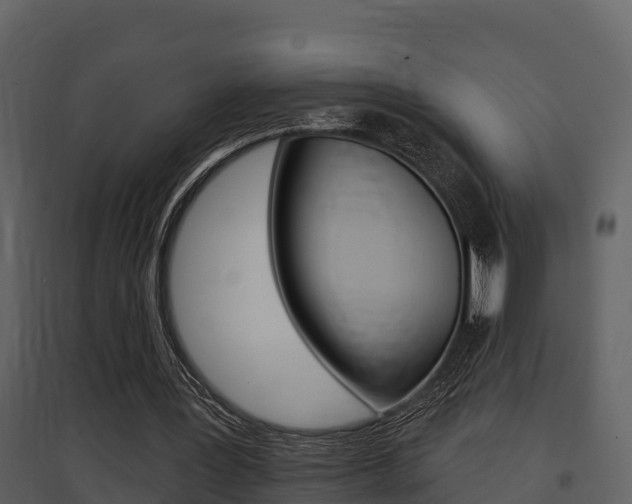X0000097850387200803140902