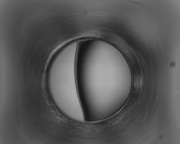X0000097850388200803140902