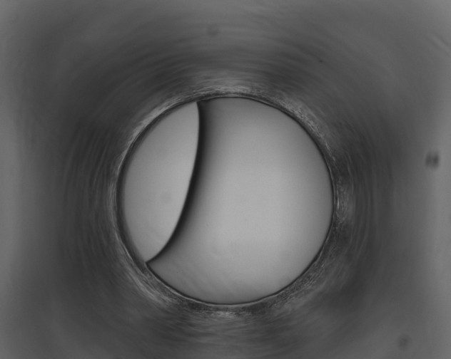 X0000097850390200803140902