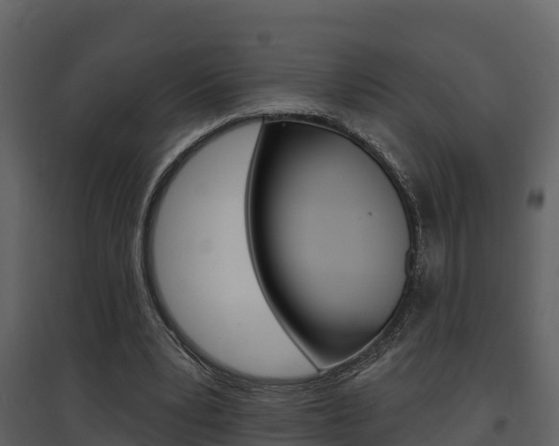 X0000097850391200803140902