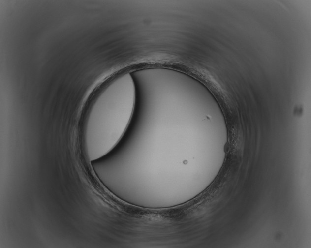 X0000097850392200803140902