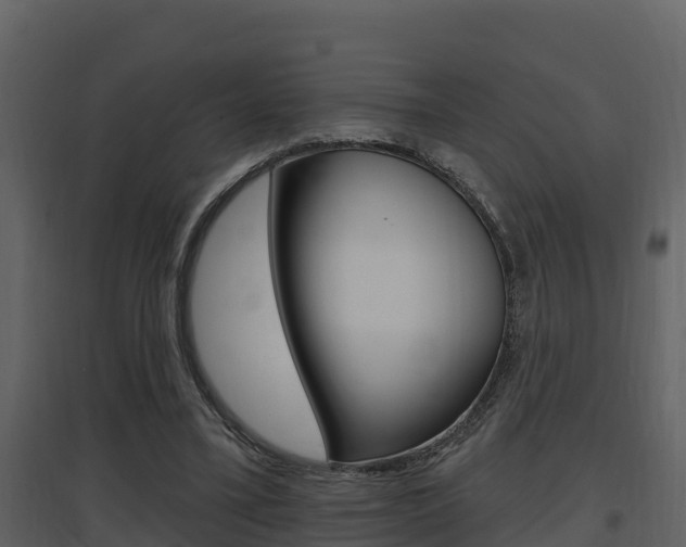 X0000097850395200803140902