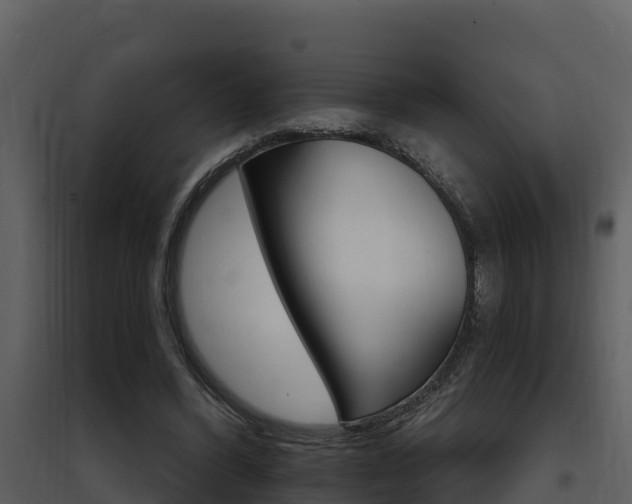 X0000097850396200803140902