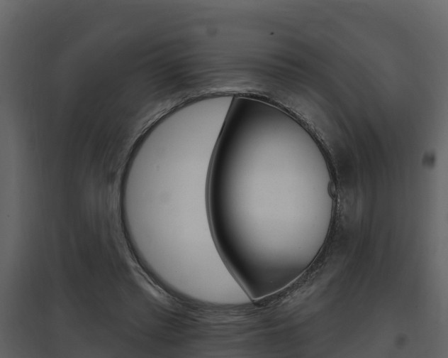 X0000097850397200803140902