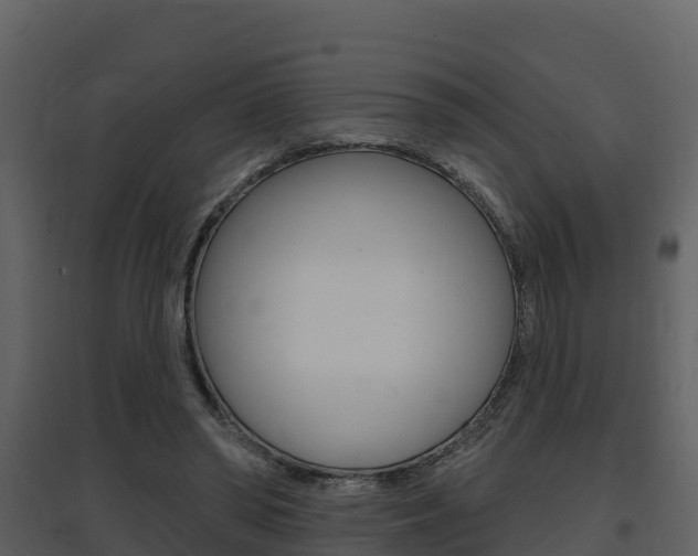 X0000097850398200803140902