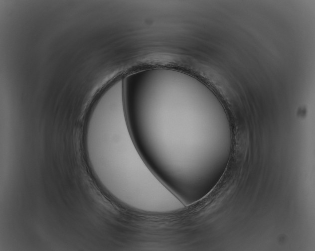X0000097850399200803140901