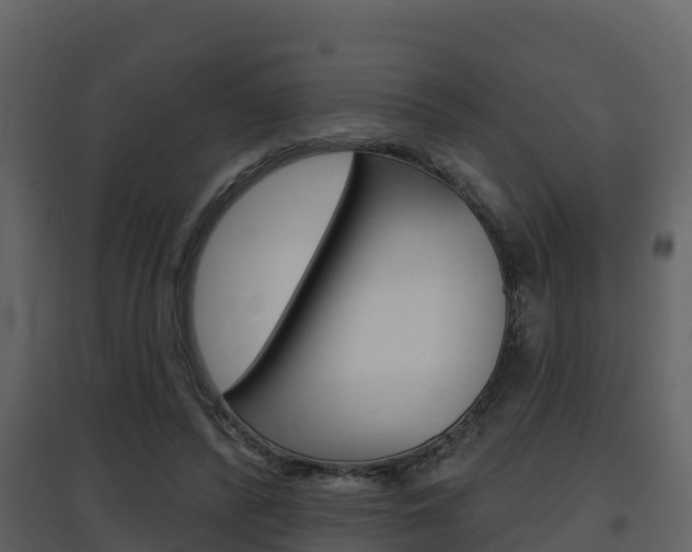 X0000097850400200803140901