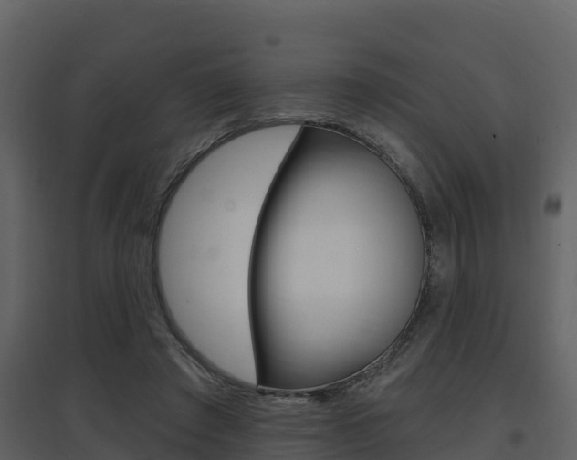 X0000097850401200803140901