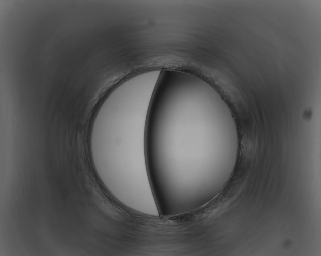 X0000097850403200803140901