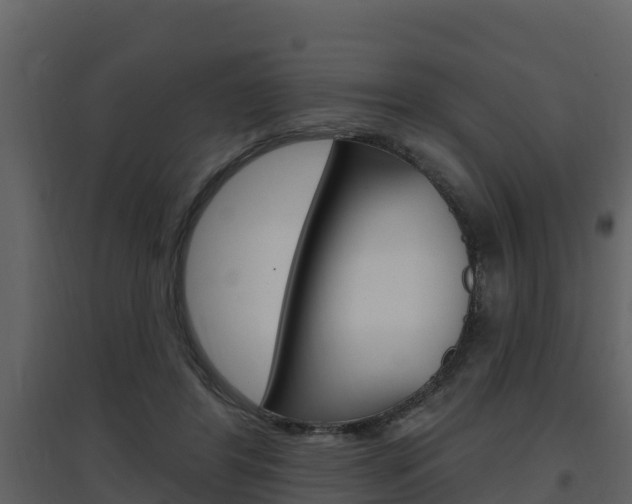 X0000097850404200803140901