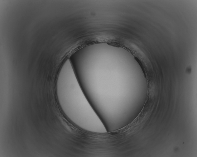 X0000097850405200803140901
