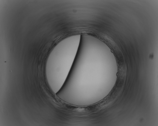 X0000097850406200803140901