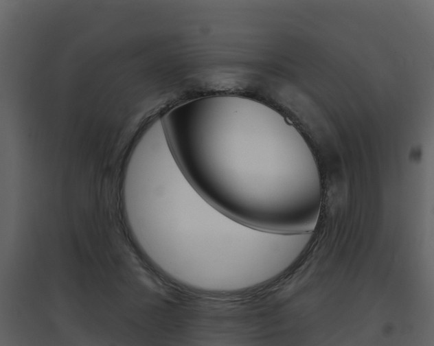 X0000097850407200803140901