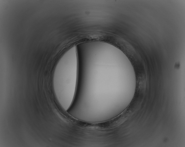 X0000097850408200803140901