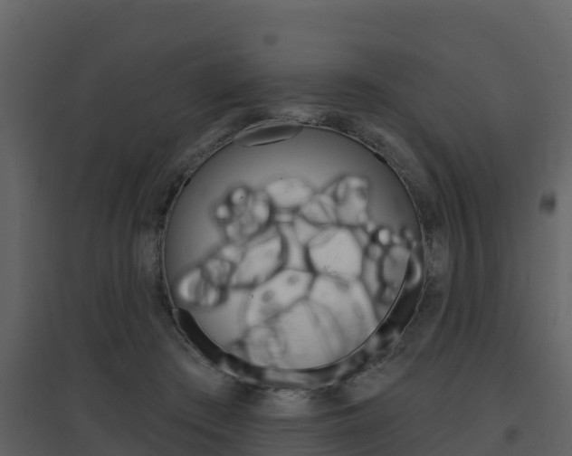 X0000097850409200803140901