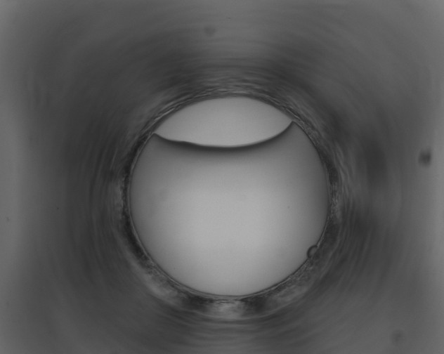 X0000097850410200803140901