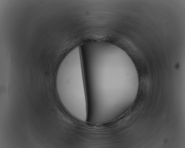 X0000097850412200803140901
