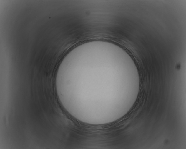 X0000097850415200803140901