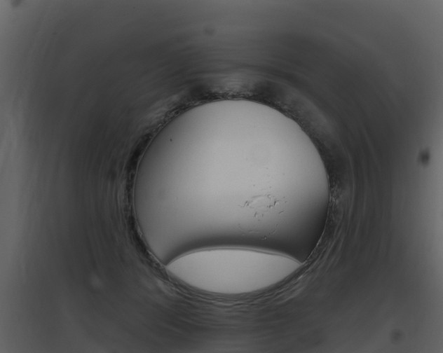 X0000097850416200803140901