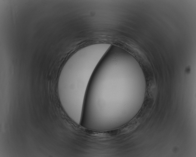 X0000097850417200803140901