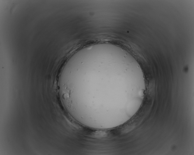 X0000097850418200803140901