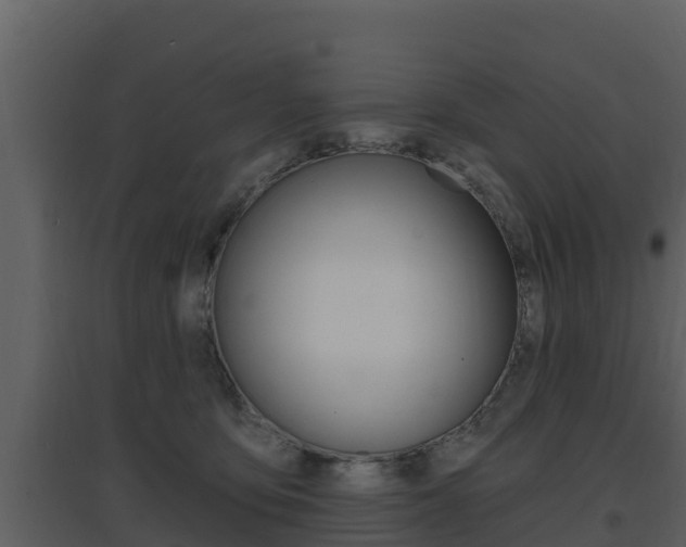 X0000097850419200803140901