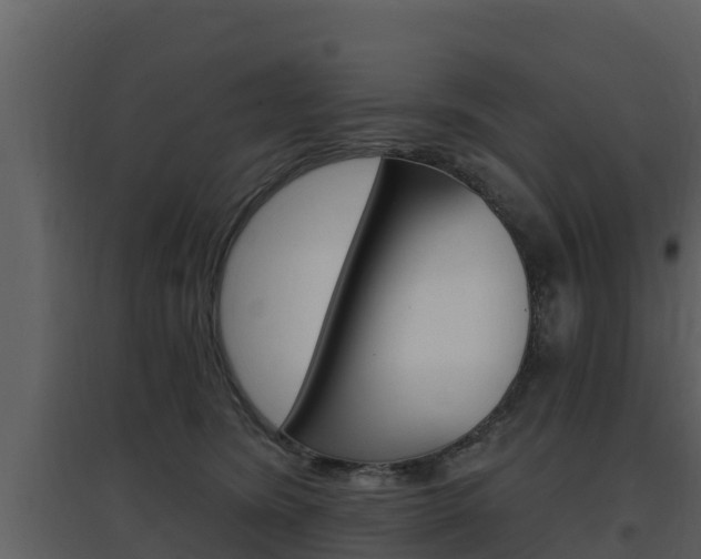 X0000097850420200803140901