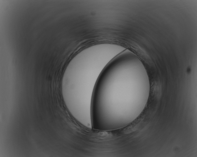 X0000097850421200803140901