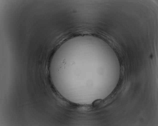 X0000097850422200803140901
