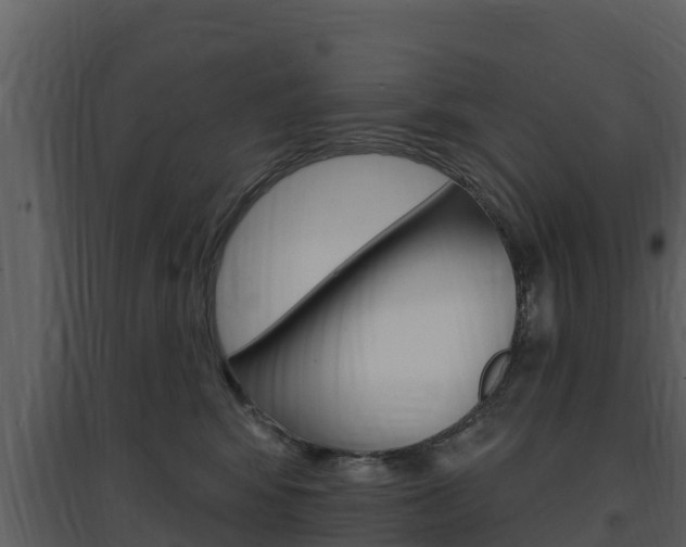 X0000097850424200803140901