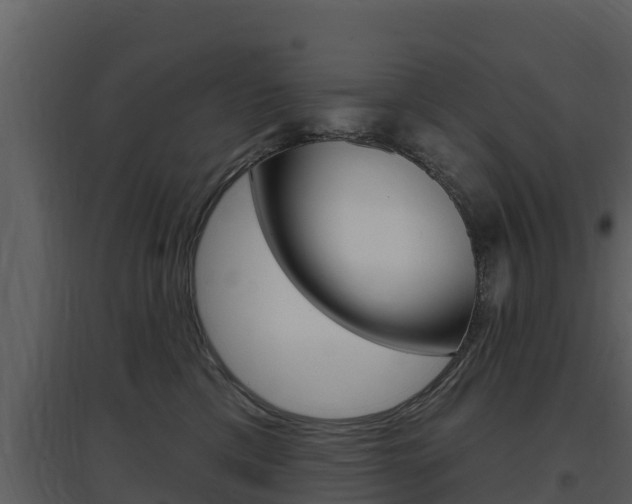 X0000097850425200803140901