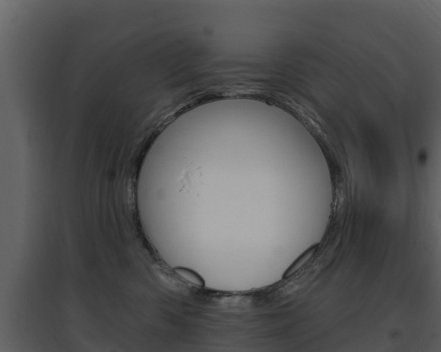 X0000097850426200803140901