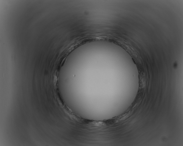 X0000097850427200803140901