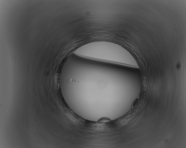 X0000097850428200803140901